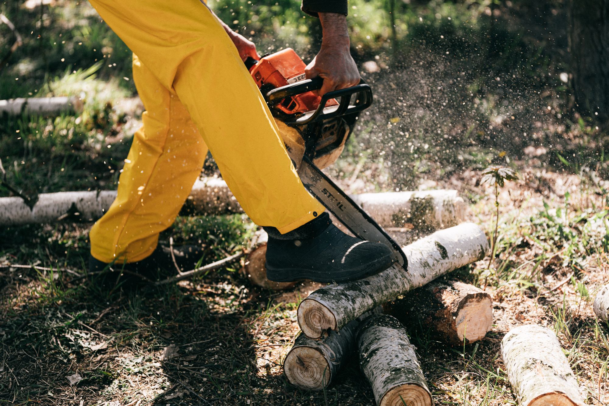 Tronçonnage de bois au sol